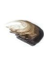 Clip In Nahtlos 45 cm Farbe N° 1